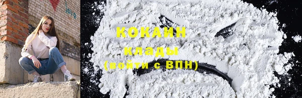 твердый Богданович