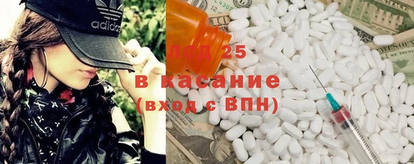 твердый Богданович
