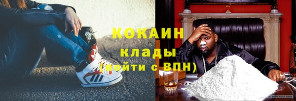 твердый Богданович