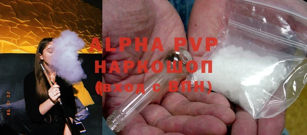 твердый Богданович